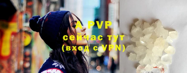 PSILOCYBIN Михайлов