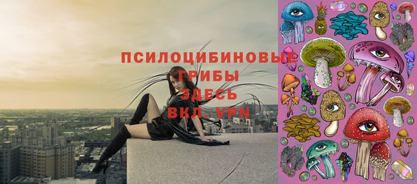 дживик Михайловск