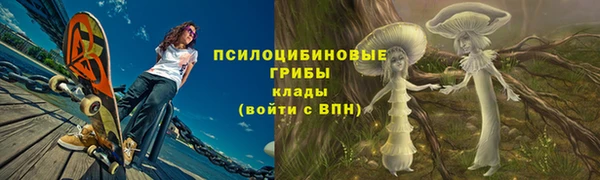 герыч Алексин