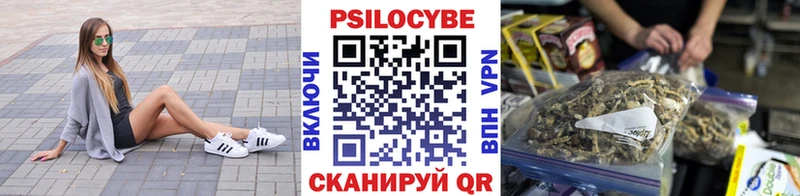 Псилоцибиновые грибы мицелий  Ардатов 